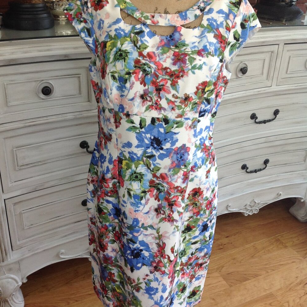 Liz Claiborne Sz 12 Fully Lined Floral Print Dress